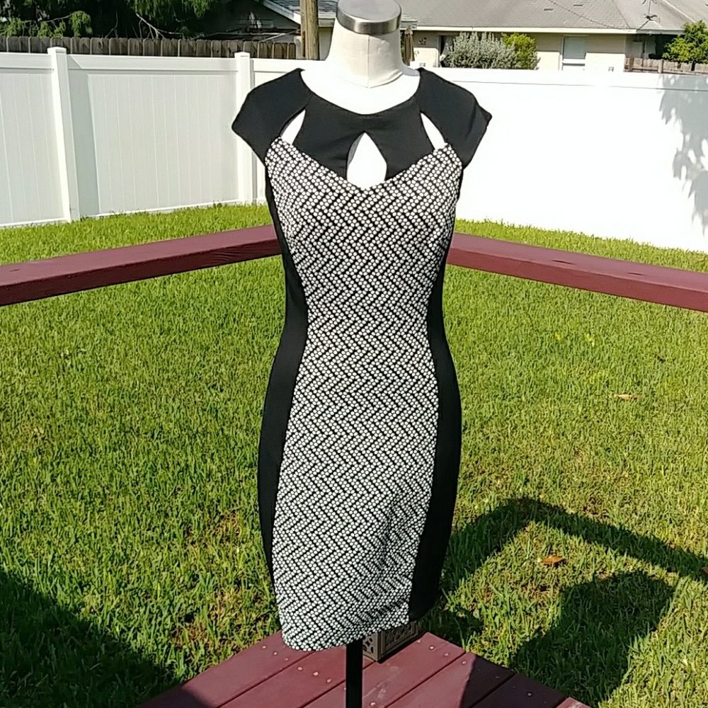 Enfocus Studio Women's Dress.  Size 6.